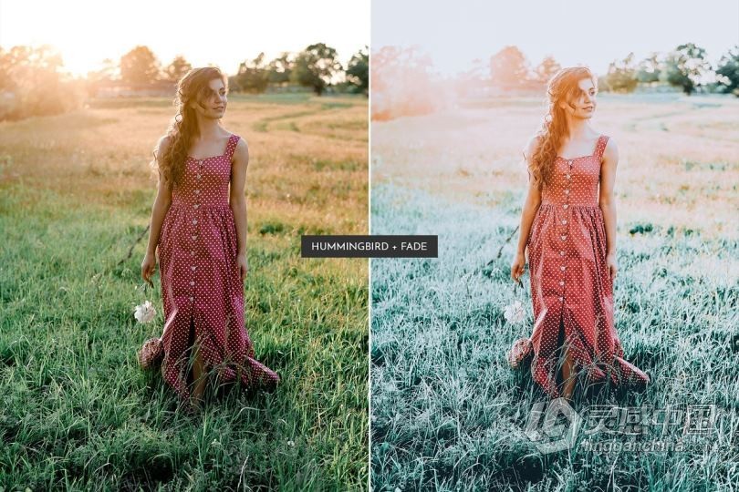 动感情绪童话色彩人像Lightroom预设/APP预设 HummingBird Lightroom Presets Pack  灵感中国网 www.lingganchina.com