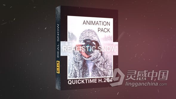 21个逼真的4K分辨率完美降雪下雪效果雪动画视频素材 Realistic Snow Effects Pack  灵感中国网 www.lingganchina.com