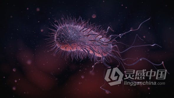 移动细菌3D动画微生物医学病毒研究教育解释视频素材 videohive Bacteria  灵感中国网 www.lingganchina.com