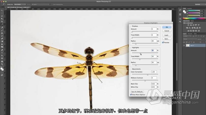 Craftsy宏观摄影：精通昆虫微距摄影完整指南教程 中文字幕 Macro Photography Insects with Clay Bolt  灵感中国网 www.lingganchina.com