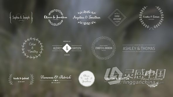 典雅复古时尚婚礼标题徽章字幕动画 AE模板 AE工程文件 Wedding Titles  灵感中国网 www.lingganchina.com