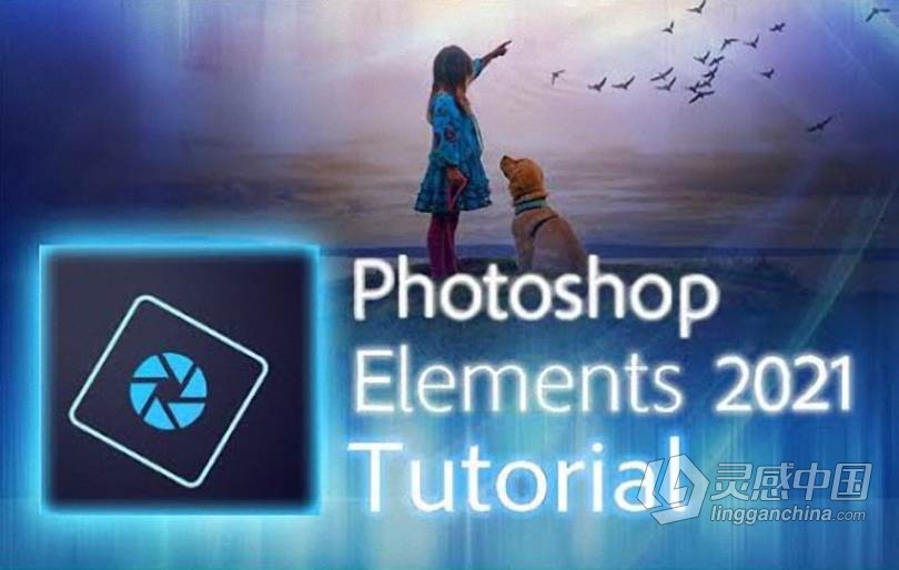 轻松掌握Photoshop Elements 2021培训教程-中文字幕 Photoshop Elements 2021 Made Easy Training  灵感中国网 www.lingganchina.com