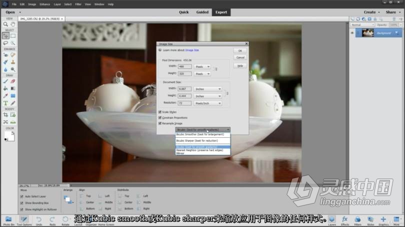 轻松掌握Photoshop Elements 2021培训教程-中文字幕 Photoshop Elements 2021 Made Easy Training  灵感中国网 www.lingganchina.com