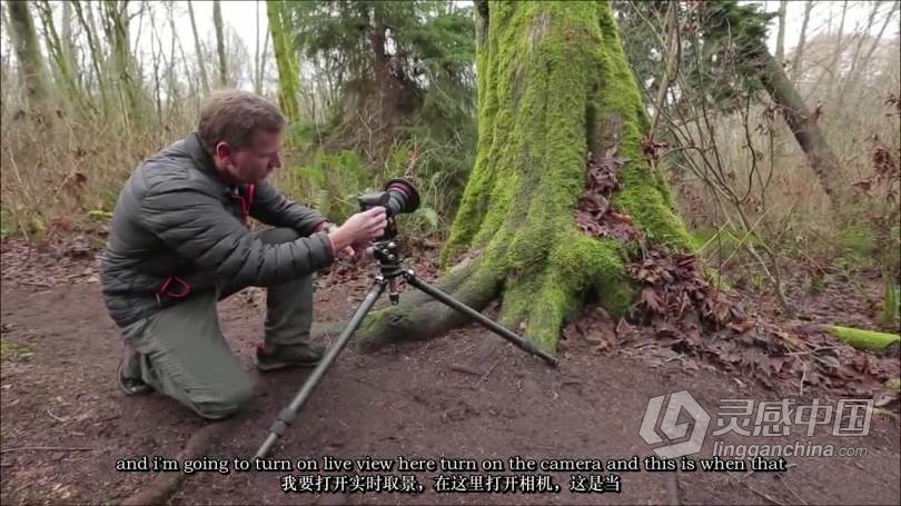 风光摄影师(Marc Muench)完整户外自然风光摄影教程-中英字幕  灵感中国网 www.lingganchina.com