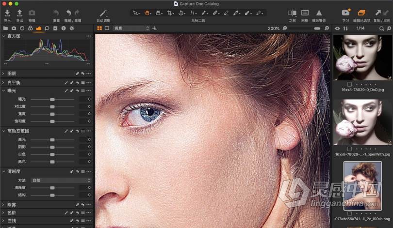 Capture One Pro 21 for mac(RAW图像编辑软件)V14.1.1正式中文版-支持big sur  灵感中国网 www.lingganchina.com