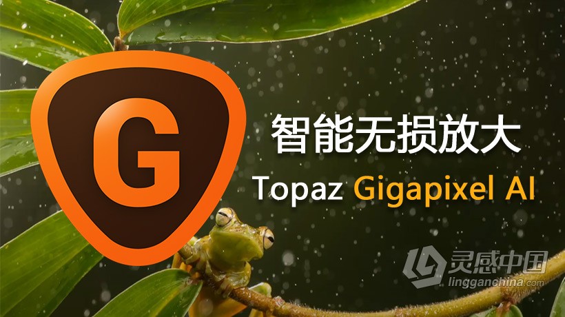 AI人工智能图像无损放大汉化PS插件Topaz Gigapixel AI 5.1.7中文汉化版 支持PS 2021  灵感中国网 www.lingganchina.com