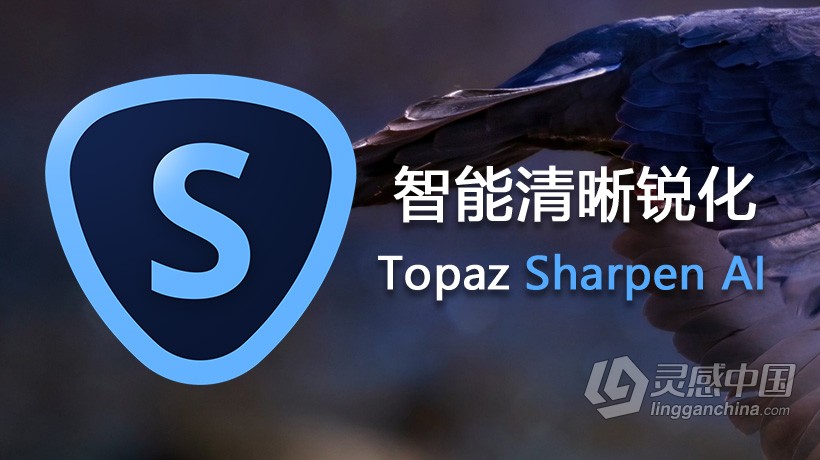 AI人工智能聚焦防抖清晰锐化PS插件 Topaz Sharpen AI v2.2汉化版Topaz Sharpen AI中文版 支持PS 2021  灵感中国网 www.lingganchina.com