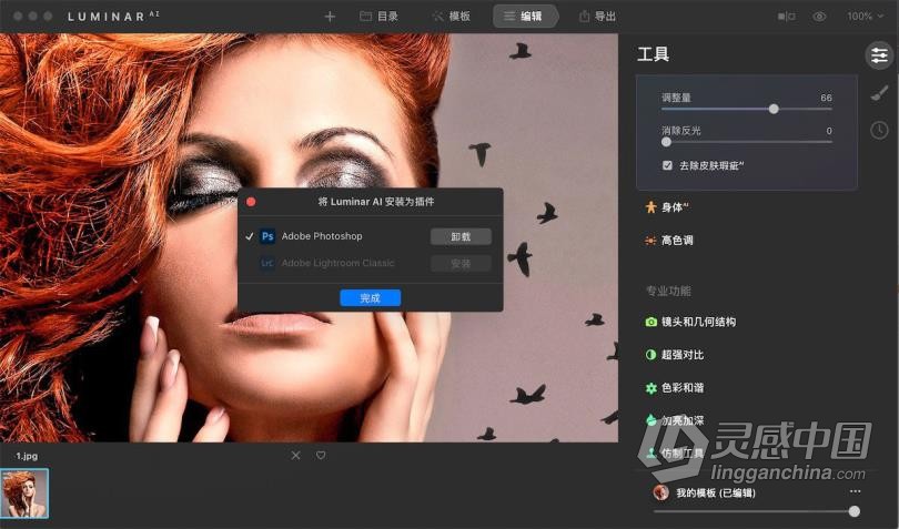 Luminar AI for mac汉化版|AI人工智能图像插件 Luminar AI 1.2.0.8797 for mac中文版  灵感中国网 www.lingganchina.com