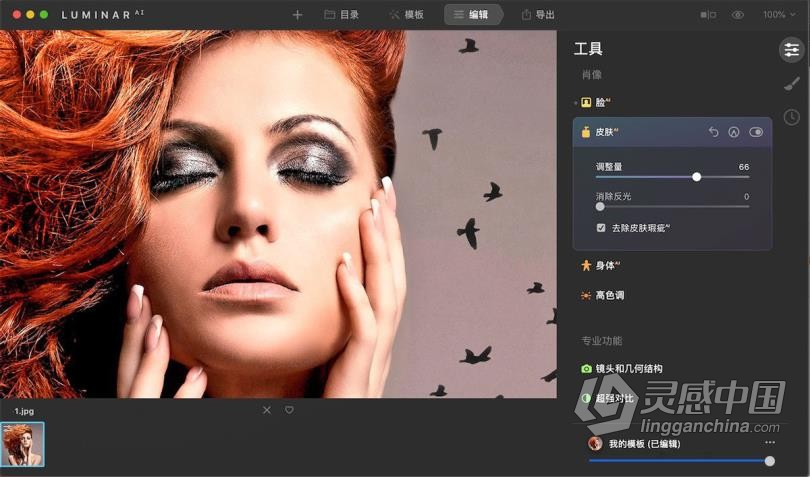 Luminar AI for mac汉化版|AI人工智能图像插件 Luminar AI 1.2.0.8797 for mac中文版  灵感中国网 www.lingganchina.com