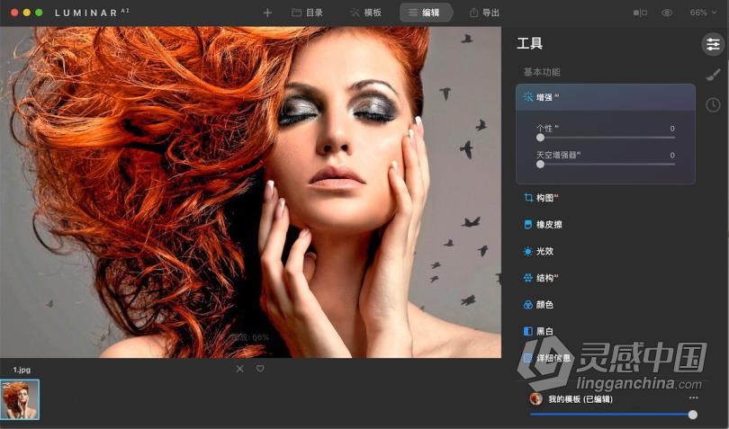 Luminar AI for mac汉化版|AI人工智能图像插件 Luminar AI 1.2.0.8797 for mac中文版  灵感中国网 www.lingganchina.com