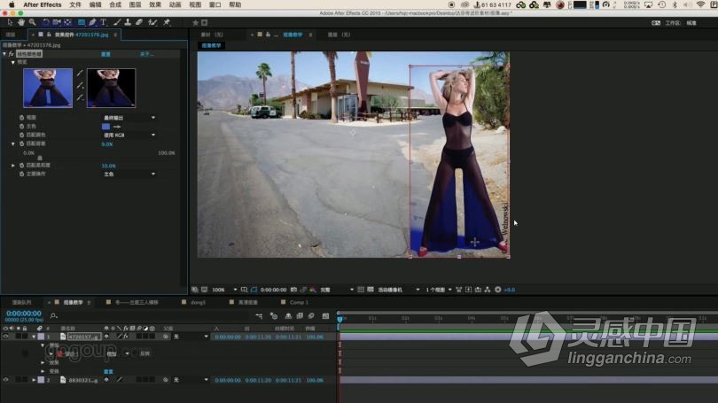 AE教程 After Effects影视抠像教程蓝绿背景抠像中文视频教程  灵感中国网 www.lingganchina.com