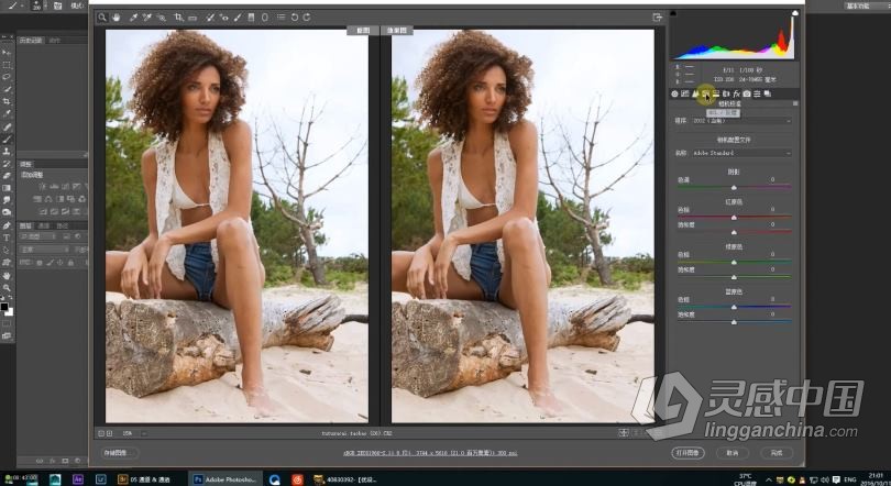 PS教程 商业摄影后期PS精修修图课程第四期中文视频教程  灵感中国网 www.lingganchina.com