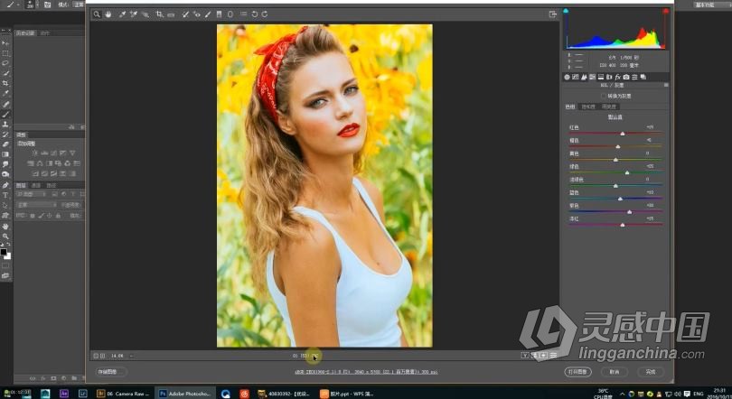 PS教程 商业摄影后期PS精修修图课程第四期中文视频教程  灵感中国网 www.lingganchina.com