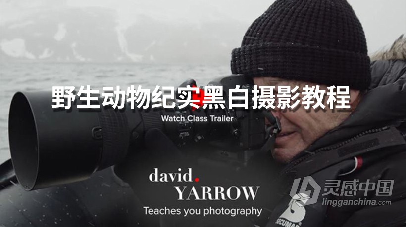 摄影大师大卫·雅罗(David Yarrow)野生动物纪实黑白摄影教程-中英字幕  灵感中国网 www.lingganchina.com