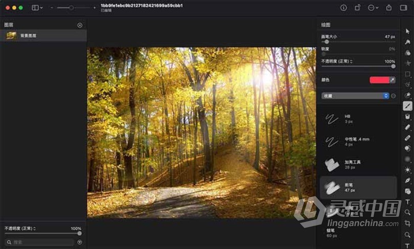 Pixelmator Pro for Mac v2.0.5 强大的图像编辑器 中文破解版  灵感中国网 www.lingganchina.com