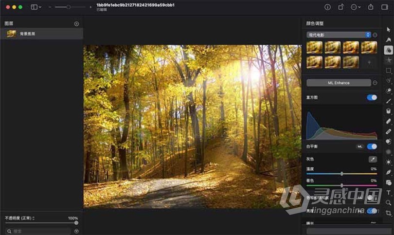 Pixelmator Pro for Mac v2.0.5 强大的图像编辑器 中文破解版  灵感中国网 www.lingganchina.com