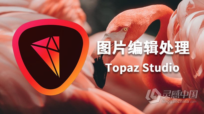 图像编辑处理 Topaz Studio 2汉化版|创意滤镜插件Topaz Studio 2.3.2 WIN 中文版  灵感中国网 www.lingganchina.com