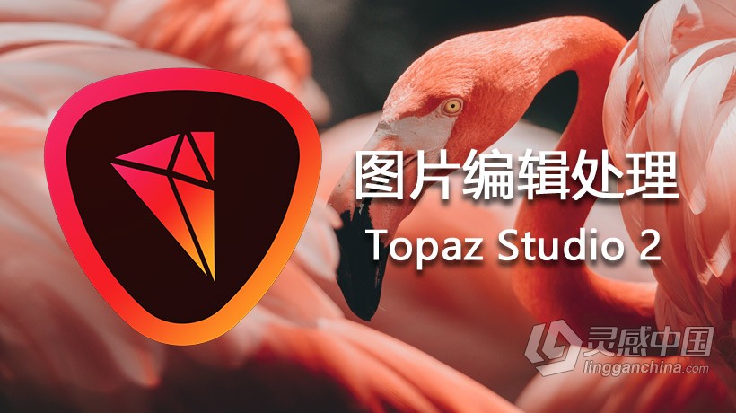 Topaz Studio for Mac(创意艺术图像处理插件)v2.3.2最新版  灵感中国网 www.lingganchina.com