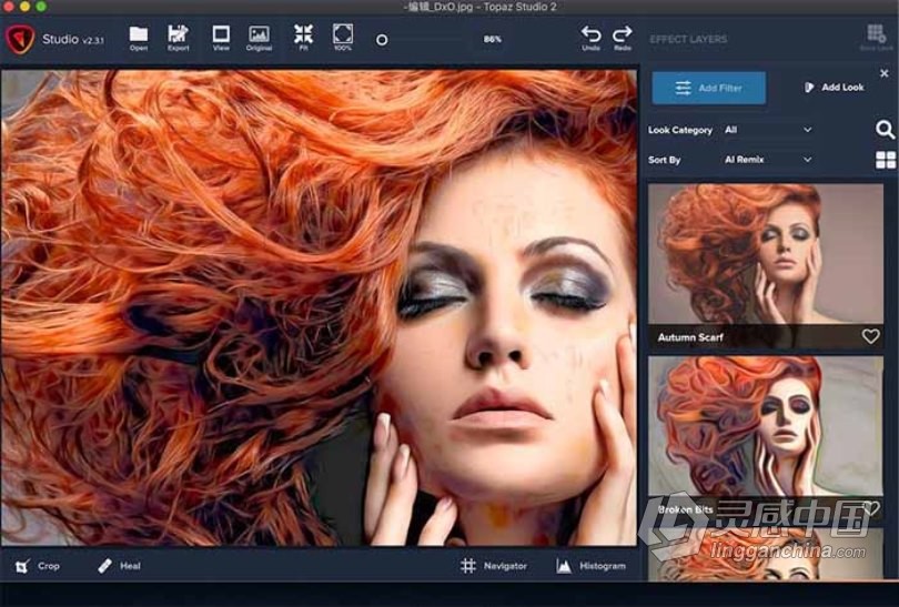 Topaz Studio for Mac(创意艺术图像处理插件)v2.3.2最新版  灵感中国网 www.lingganchina.com