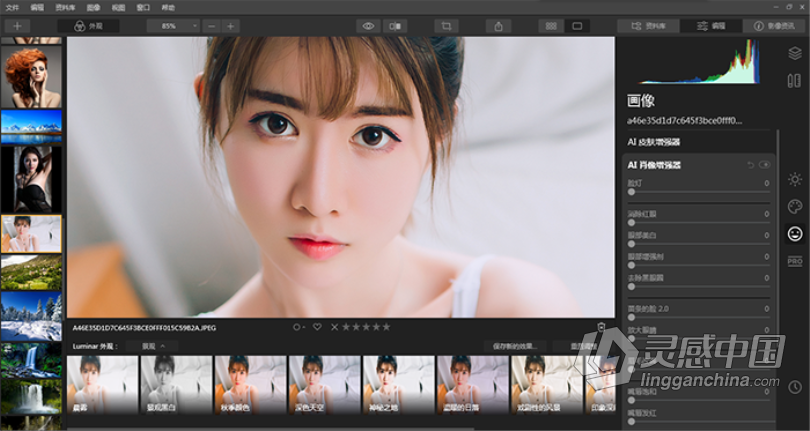 Luminar 4.3.3完整汉化版|AI人工智能图像插件Luminar 4.3.3(7895)支持PS2021  灵感中国网 www.lingganchina.com