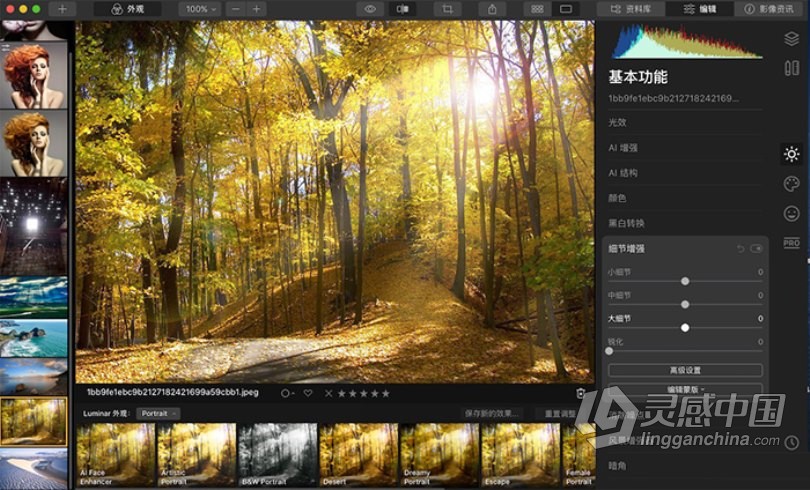 Luminar 4.3.3 for mac中文版|AI人工智能修图插件Luminar 4.3.3.8840 支持ps2021  灵感中国网 www.lingganchina.com