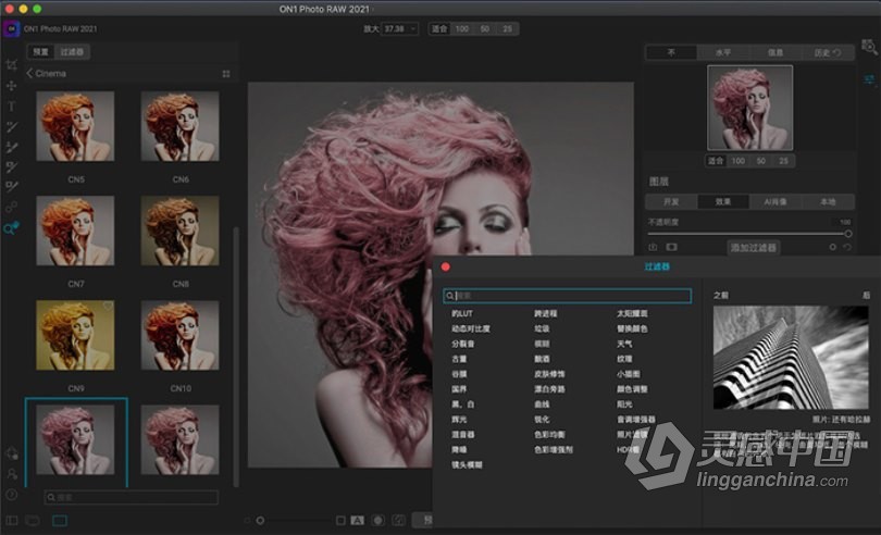 ON1 Photo RAW 2021 for mac(RAW照片滤镜插件)v15.1.0(10148)最新中文版  灵感中国网 www.lingganchina.com