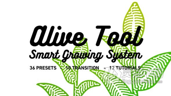 AE模板 智能种植RD系统Alive Tool: Smart Growing System AE工程 AE文件  灵感中国网 www.lingganchina.com