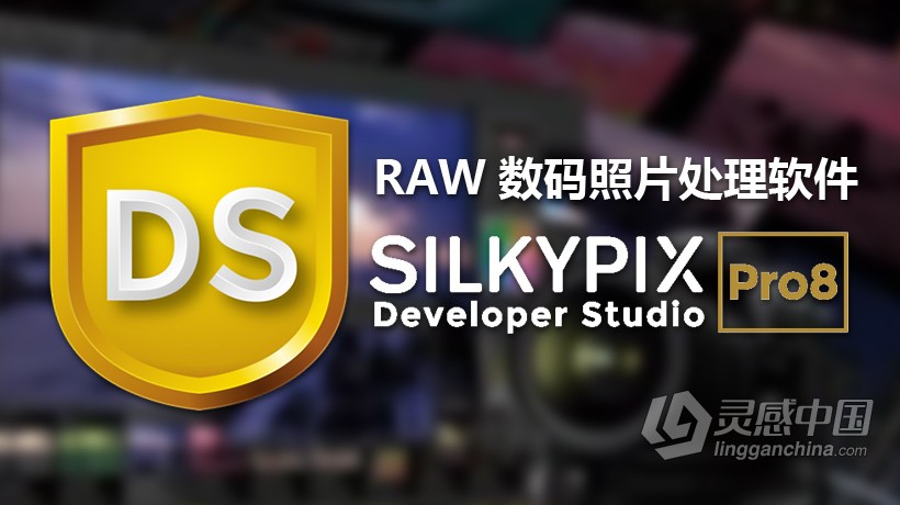 RAW软件 SILKYPIX Developer Studio Pro 8.0.5汉化版  灵感中国网 www.lingganchina.com