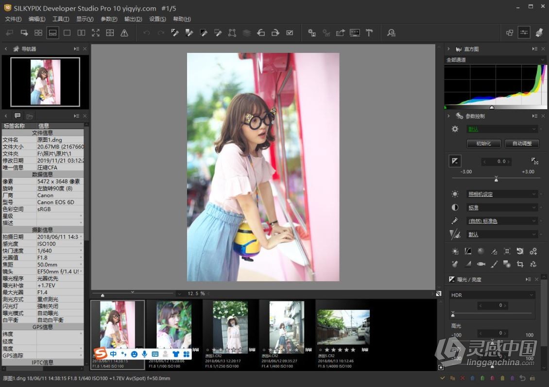 SILKYPIX Developer Studio Pro 10.0.12汉化版|RAW数码照片处理软件WinX64  灵感中国网 www.lingganchina.com