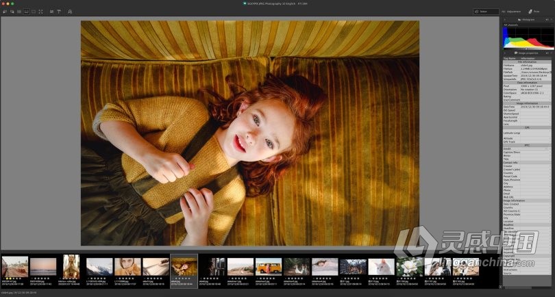 SILKYPIX JPEG Photography 10E for mac(图片处理软件)V10.2.12.0特别版  灵感中国网 www.lingganchina.com