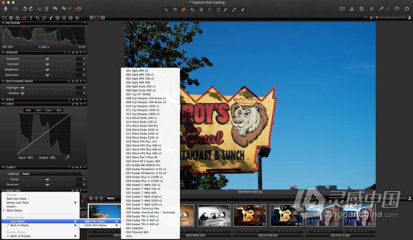 飞思Capture One Pro专用全套电影胶片预设 CaptureOne Film Styles  灵感中国网 www.lingganchina.com
