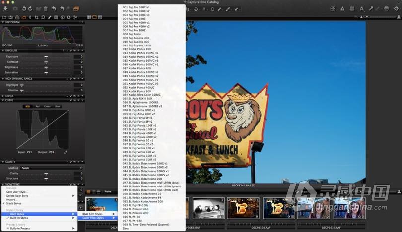 飞思Capture One Pro专用全套电影胶片预设 CaptureOne Film Styles  灵感中国网 www.lingganchina.com