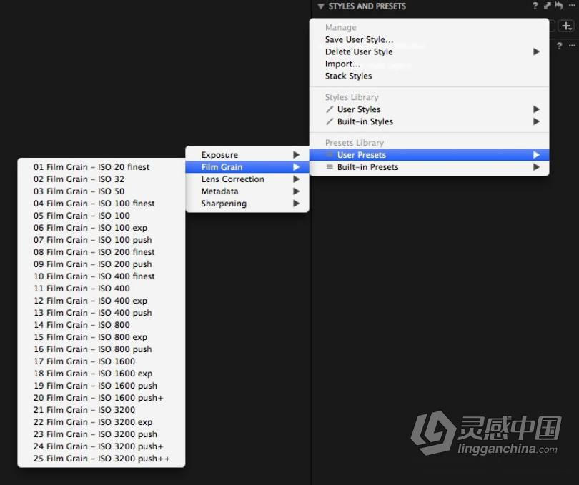 飞思 柯达胶片预设Ⅱ Capture One Film Styles Extended Set Ⅱ 附视频教程  灵感中国网 www.lingganchina.com