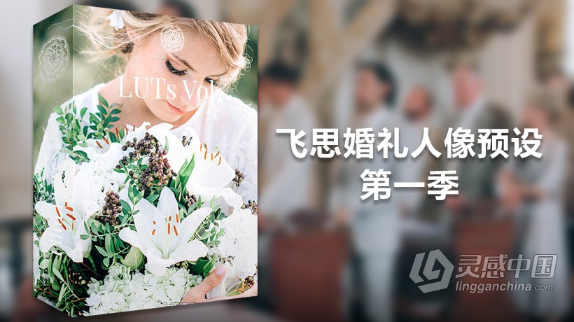 飞思婚礼人像预设第一季-KREATIV WEDDING LUTS VOL1 for Capture One Pro  灵感中国网 www.lingganchina.com