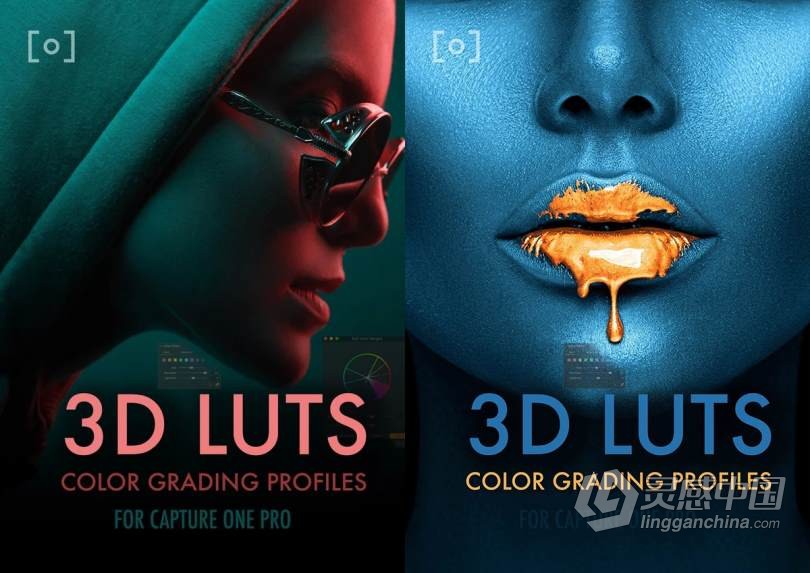 飞思LUT预设PRO EDU-Master Collection -100 3D Lut Profiles Capture One Pro  灵感中国网 www.lingganchina.com