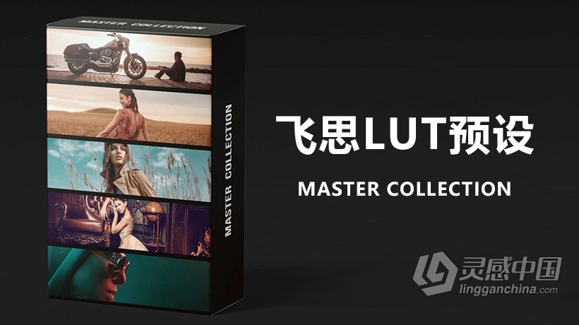 飞思LUT预设PRO EDU-Master Collection -100 3D Lut Profiles Capture One Pro  灵感中国网 www.lingganchina.com