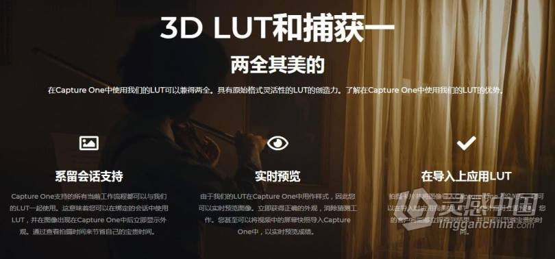 飞思调色LUT预设-3D LUTs Package For Capture One v3.3.1 WIN+Mac版本  灵感中国网 www.lingganchina.com