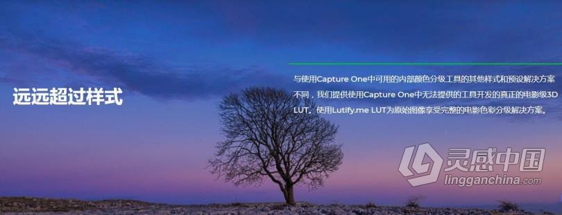 飞思调色LUT预设-3D LUTs Package For Capture One v3.3.1 WIN+Mac版本  灵感中国网 www.lingganchina.com