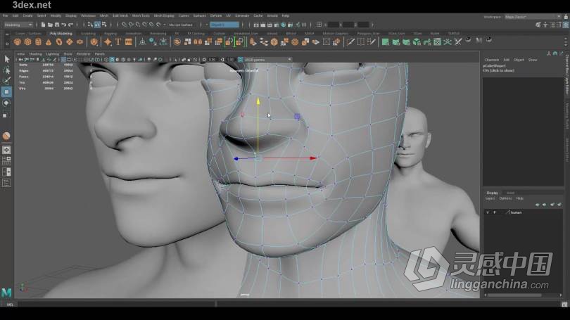 Maya教程 Maya 3D建模基础知识技能训练视频教程  灵感中国网 www.lingganchina.com