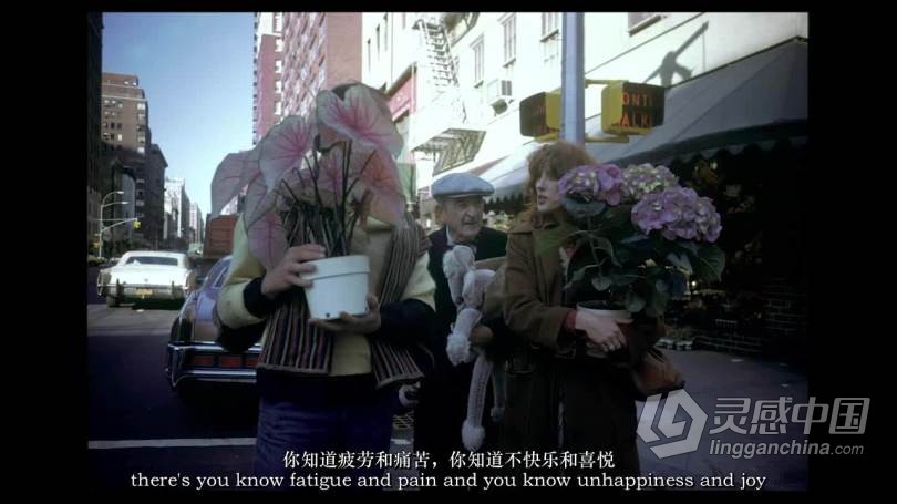 摄影大师–乔尔·梅耶罗维兹(Joel Meyerowitz) Masters of Photograph-中英字幕  灵感中国网 www.lingganchina.com