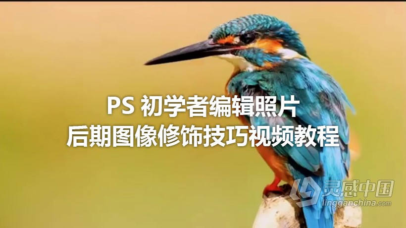 PS教程 PS初学者编辑照片后期图像修饰技巧视频教程  灵感中国网 www.lingganchina.com