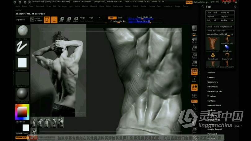 ZB教程 ZBrush人体雕刻实例视频教程 中文字幕  灵感中国网 www.lingganchina.com