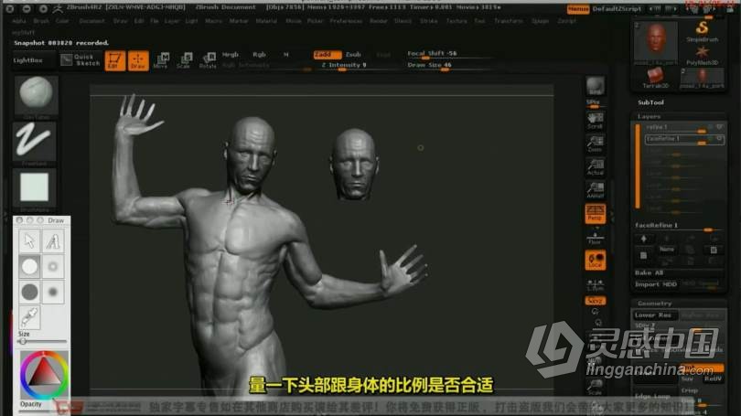 ZB教程 ZBrush人体雕刻实例视频教程 中文字幕  灵感中国网 www.lingganchina.com