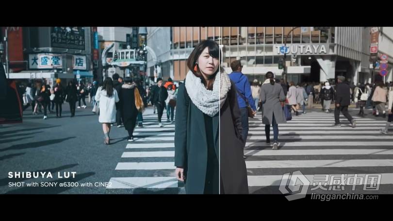 LUT预设 油管大神AUXOUT –索尼CINE2老式复古电影Vlog视频调色LUT预设 CINEMATIC LUT PACK '17  灵感中国网 www.lingganchina.com