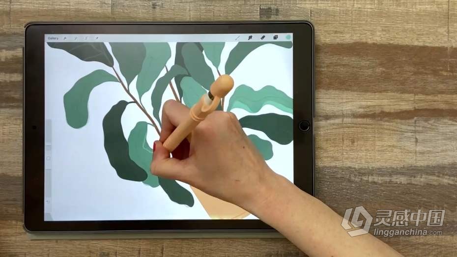 绘画教程 Procreate再iPad中创建平面自然植物插图教程  灵感中国网 www.lingganchina.com
