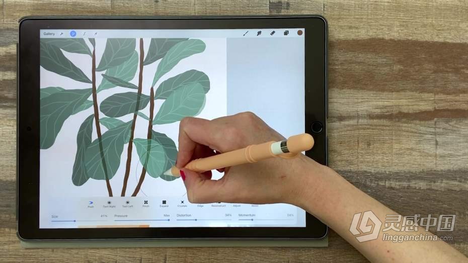 绘画教程 Procreate再iPad中创建平面自然植物插图教程  灵感中国网 www.lingganchina.com