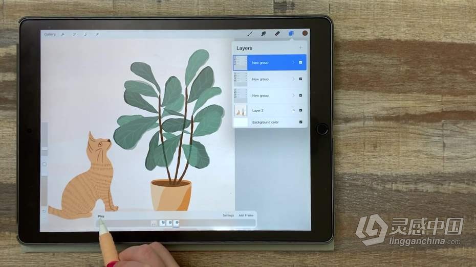 绘画教程 Procreate再iPad中创建平面自然植物插图教程  灵感中国网 www.lingganchina.com