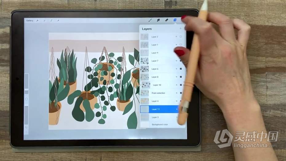 绘画教程 Procreate再iPad中创建平面自然植物插图教程  灵感中国网 www.lingganchina.com