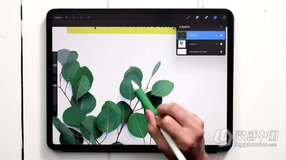 绘画教程 Procreate绘画平面风格水粉植物数字水粉画教程  灵感中国网 www.lingganchina.com