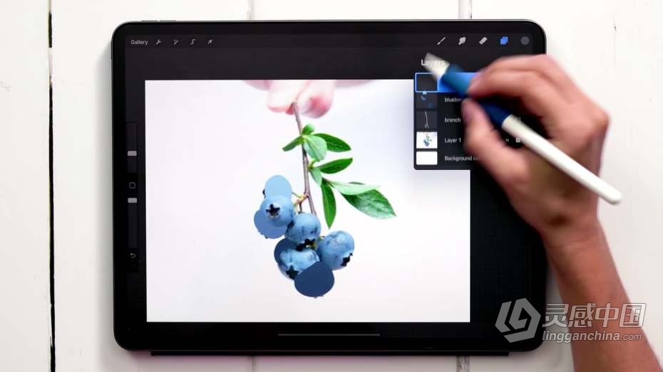 绘画教程 Procreate绘画平面风格水粉植物数字水粉画教程  灵感中国网 www.lingganchina.com